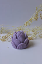 Flor de Loto