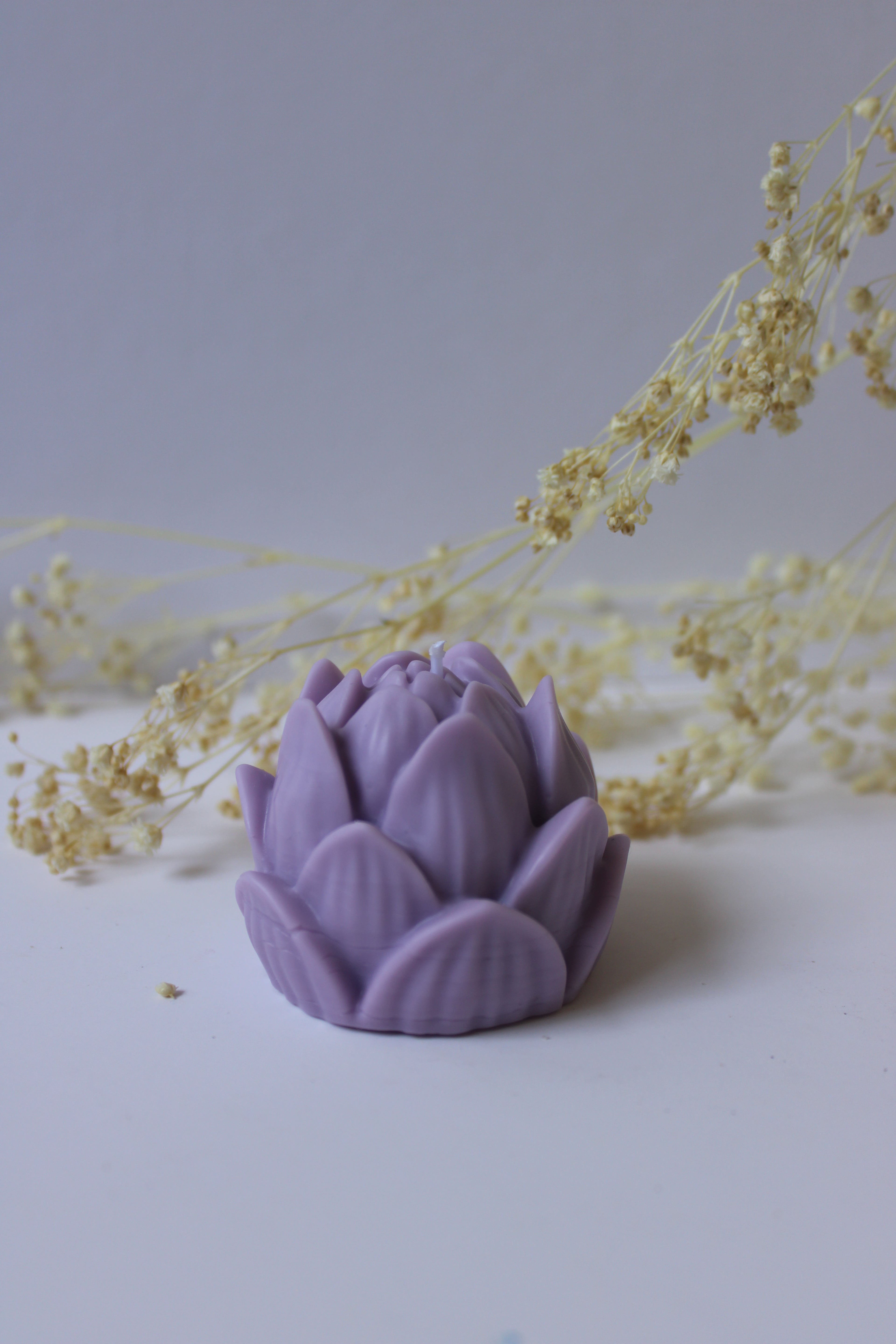 Flor de Loto