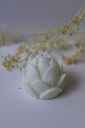 Flor de Loto