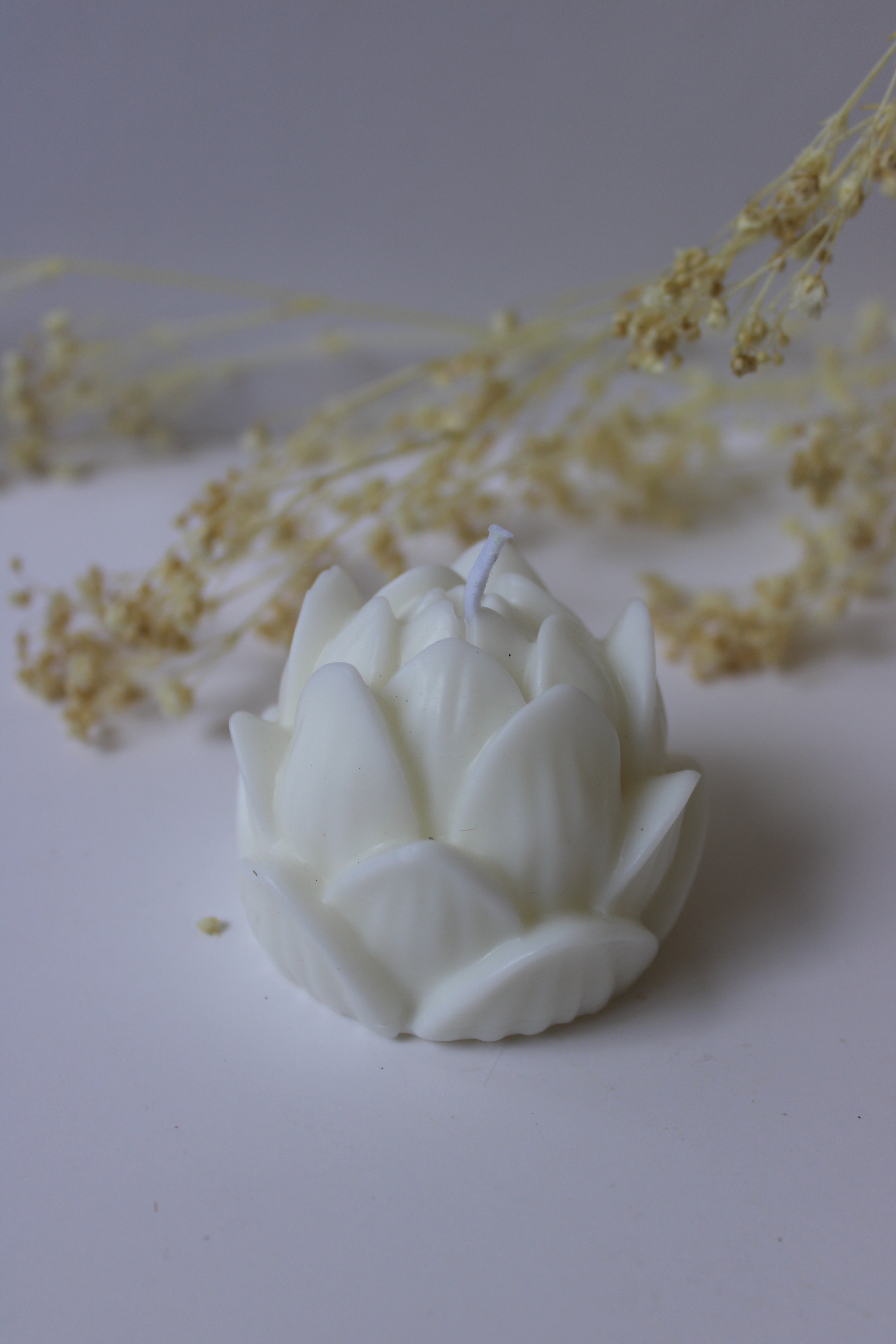 Flor de Loto