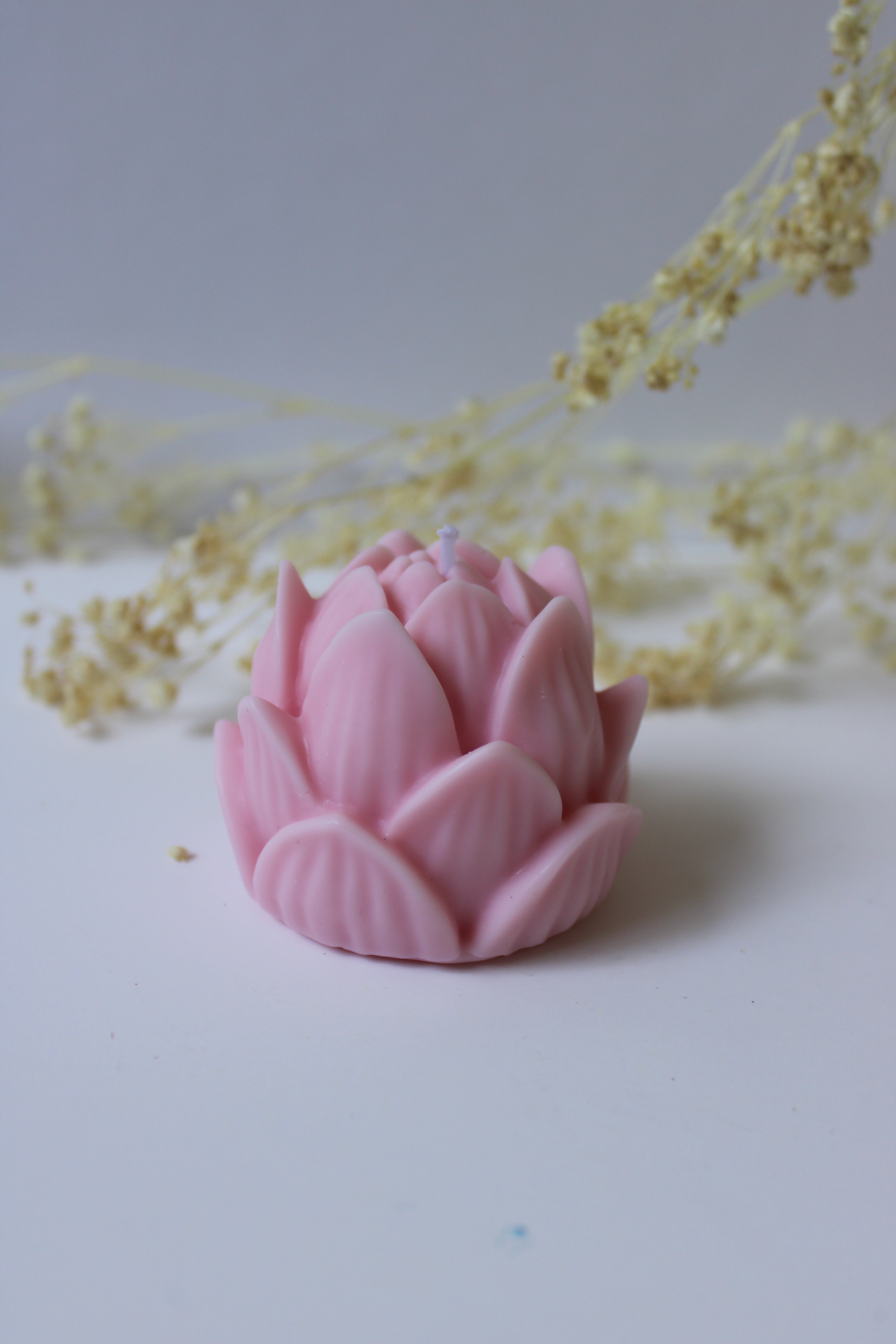 Flor de Loto