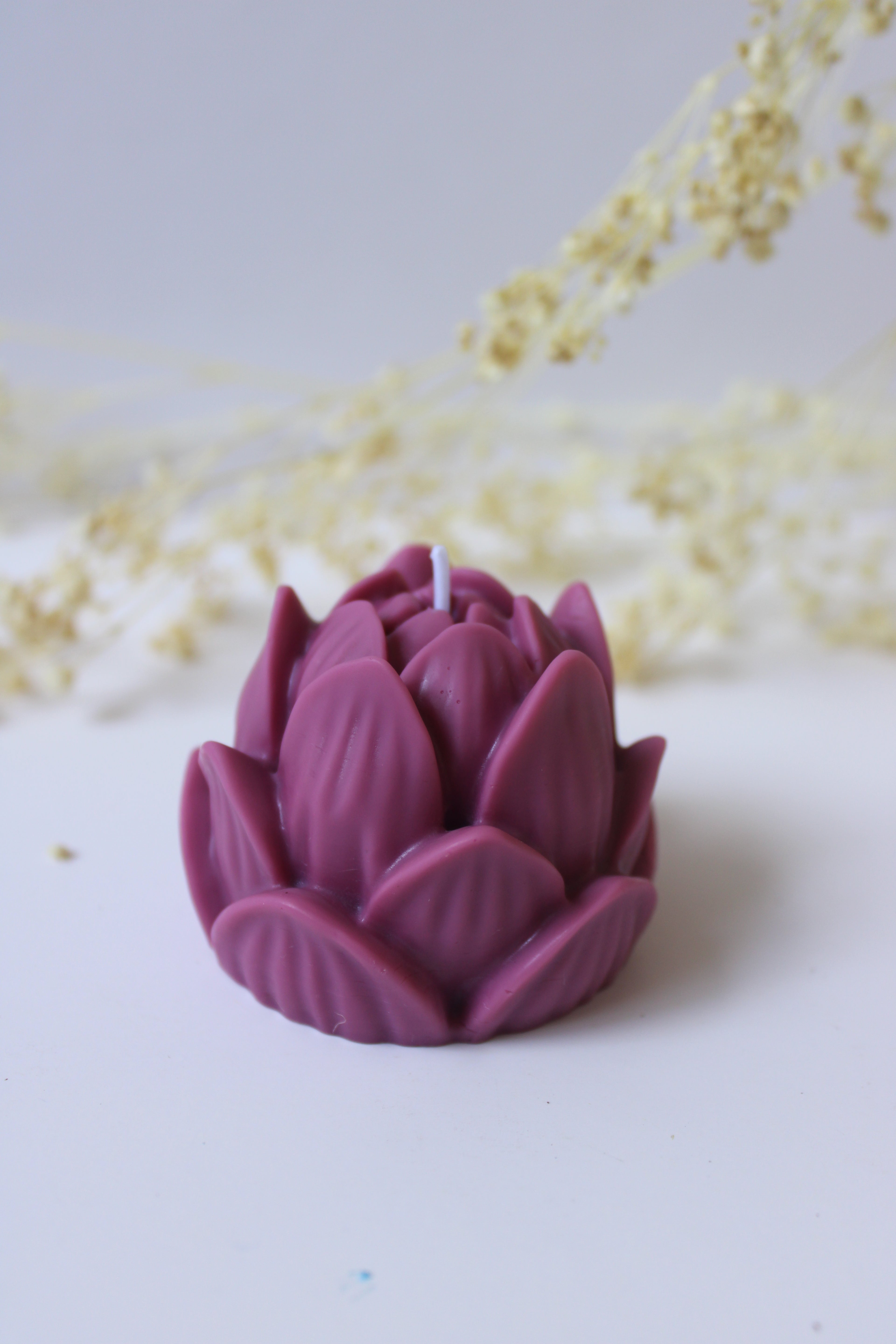 Flor de Loto