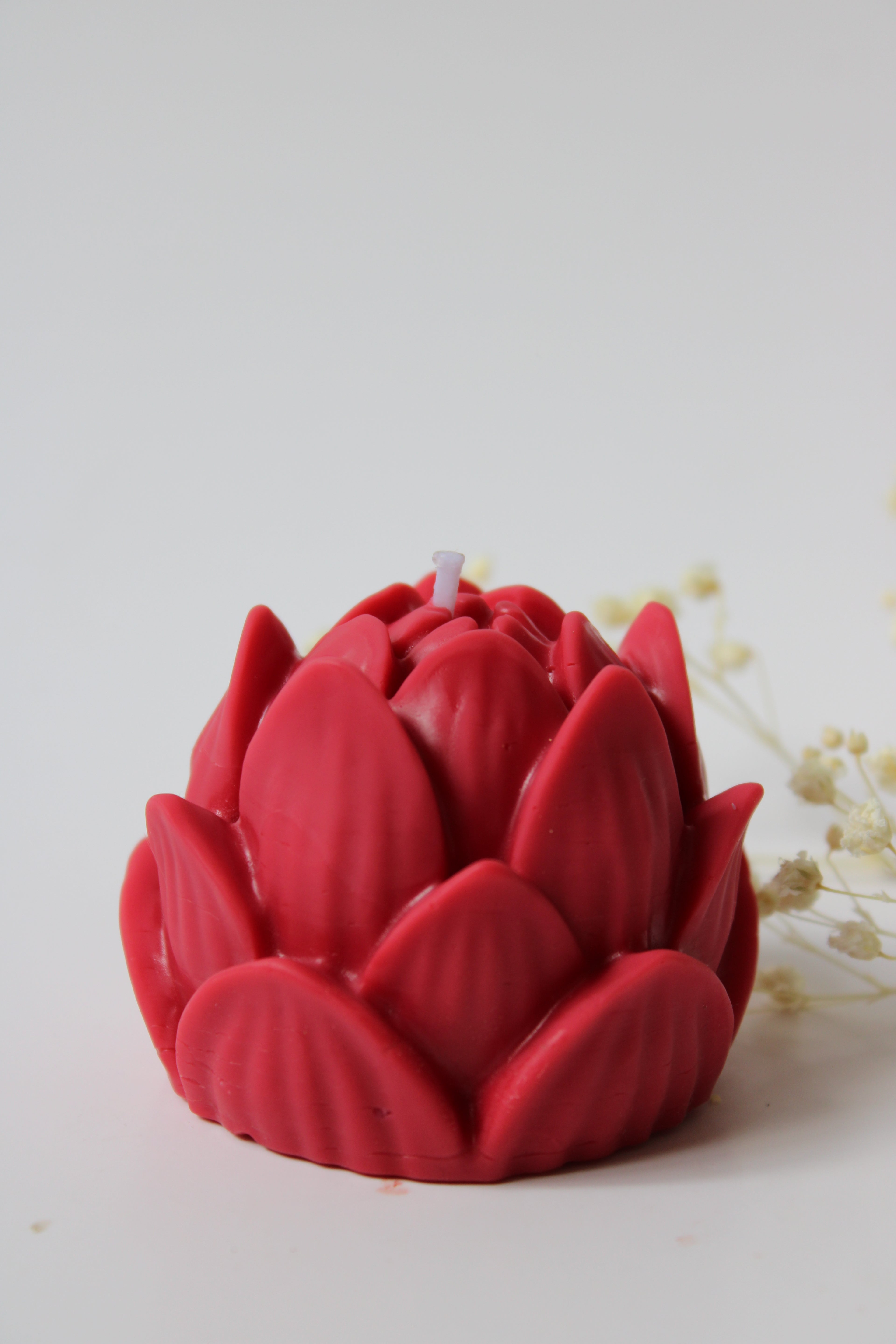 Flor de Loto