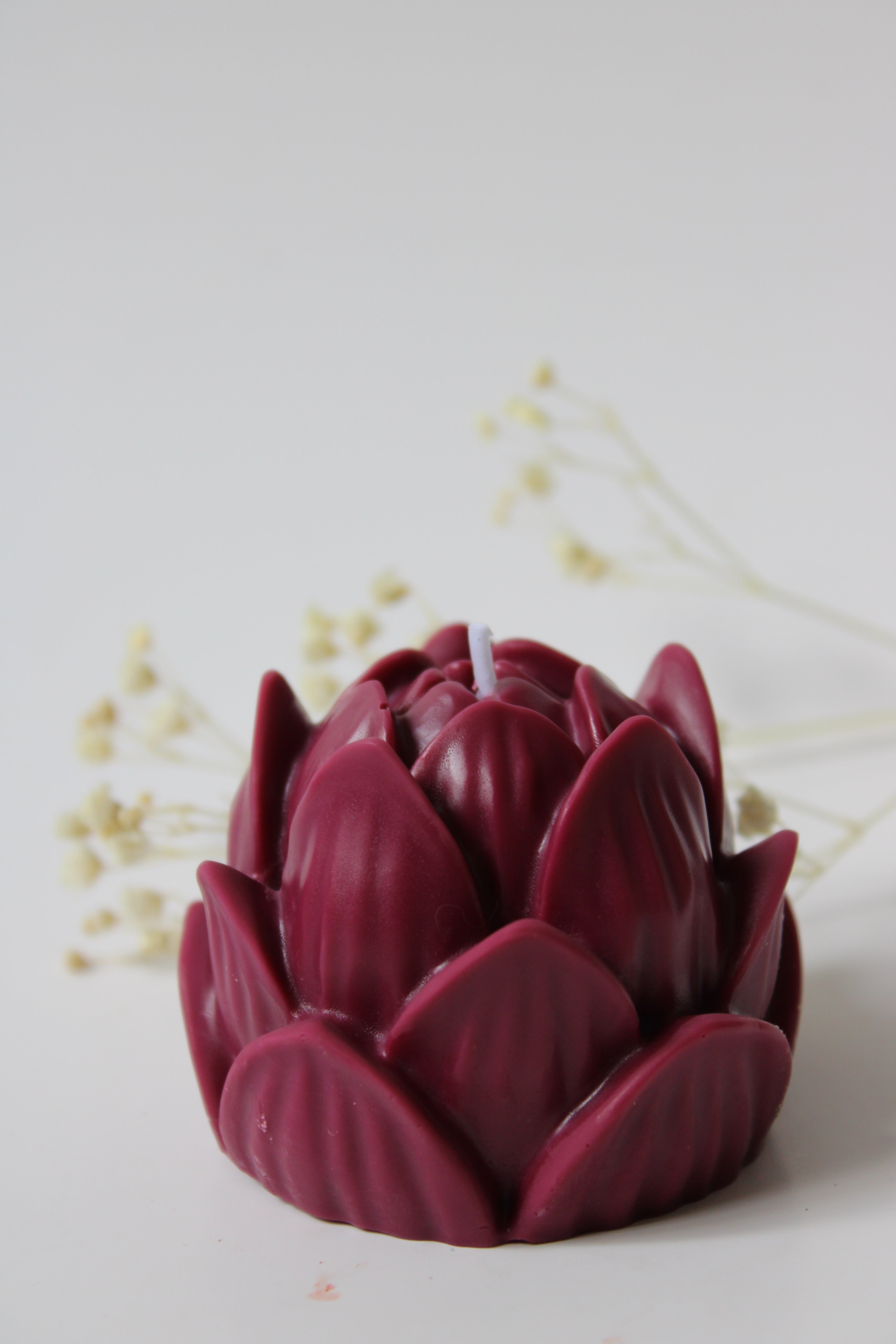 Flor de Loto
