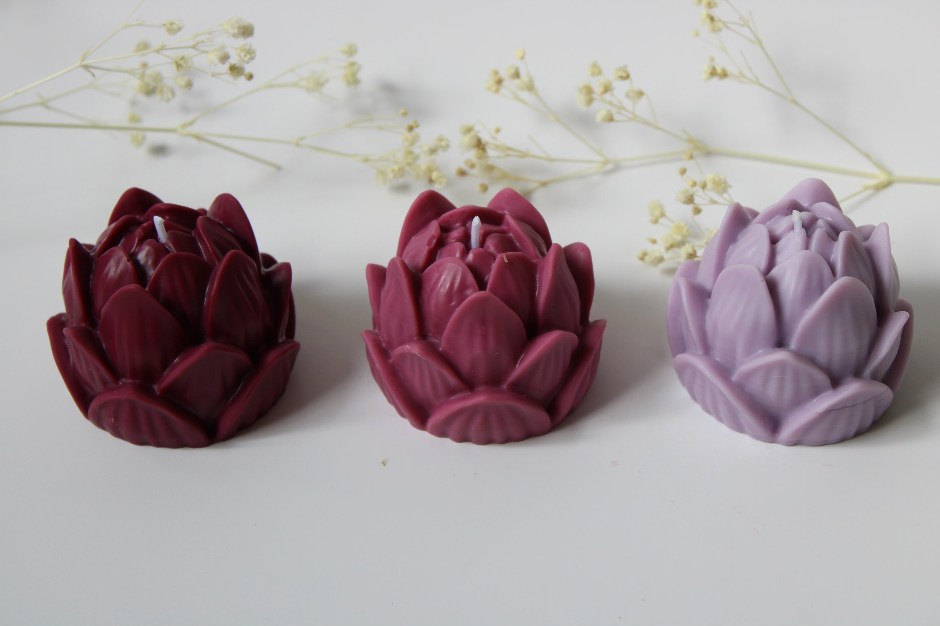 Flor de Loto