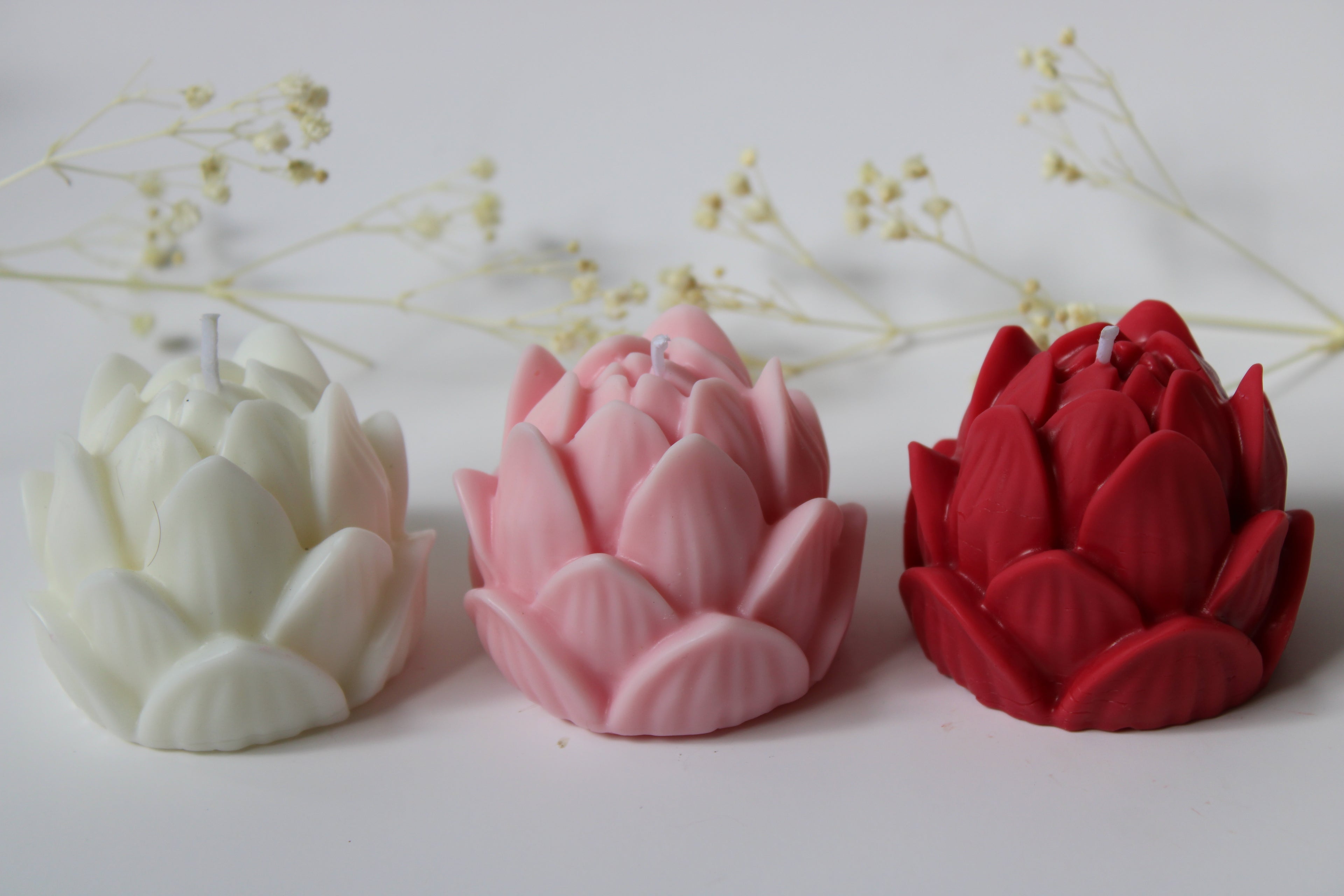 Flor de Loto