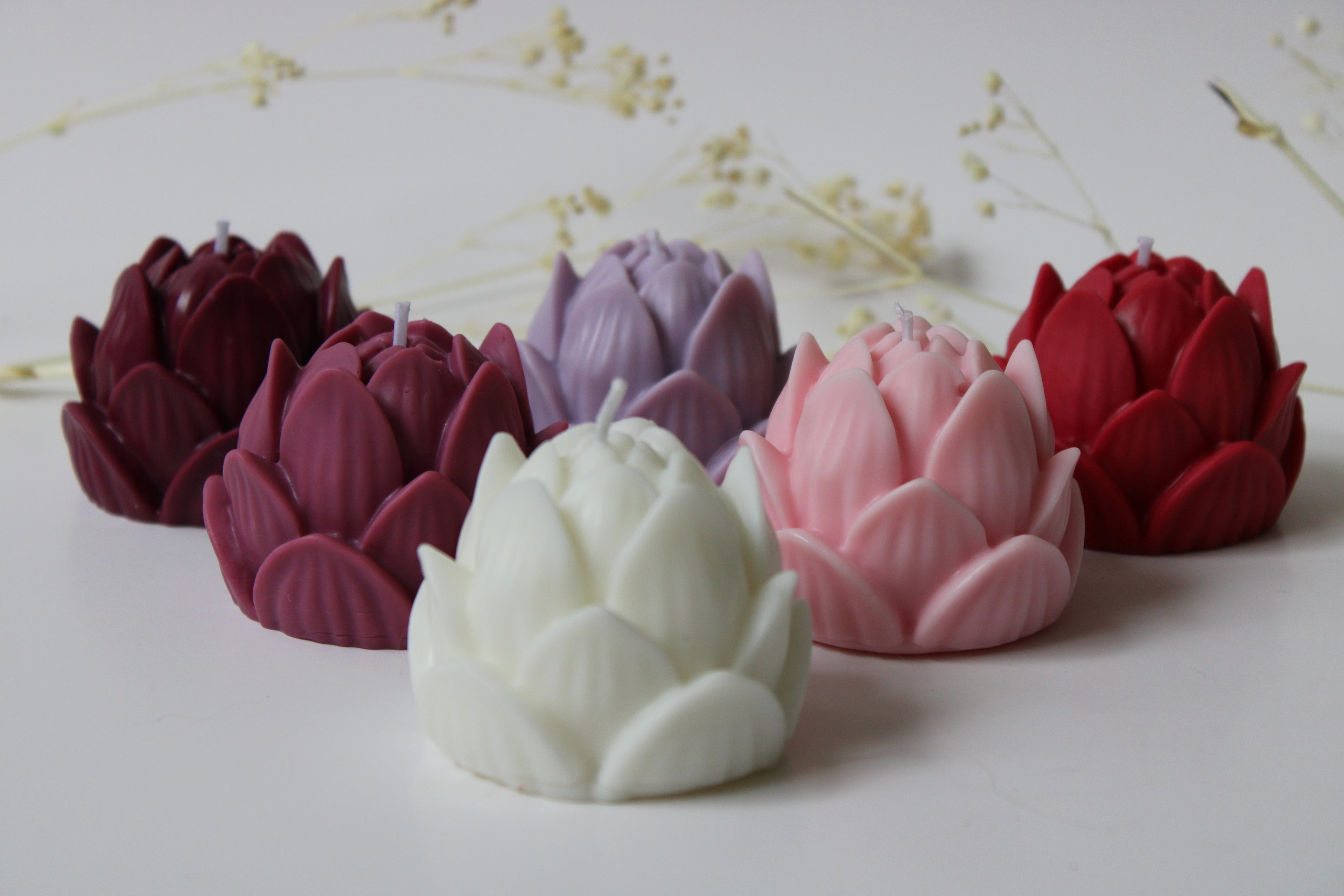 Flor de Loto