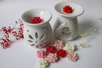 Wax melts suculentas + pebetero