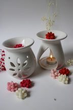 Wax melts suculentas + pebetero