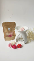 Wax melts suculentas